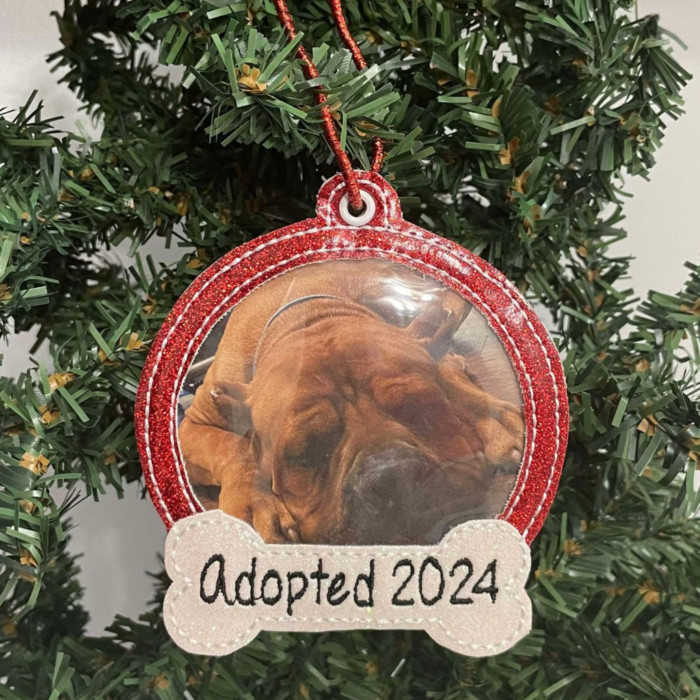 Adopted Dog Picture Christmas Ornament