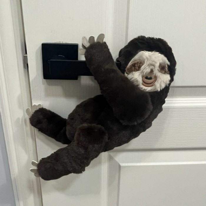 Sloth Stuffie - Image 3